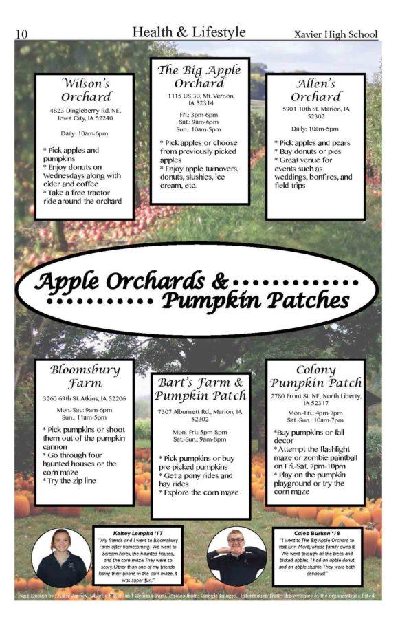 Apple Orchards and Pumpkin Patches