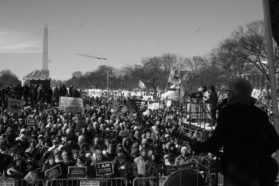 Musician Matt Maher, a former Tempe resident, performs for some of the estimated 600,000 who turned out for the 41st annual March for Life in Washington to protest the anniversary of the Supreme Court ruling recognizing a womans right to an abortion.